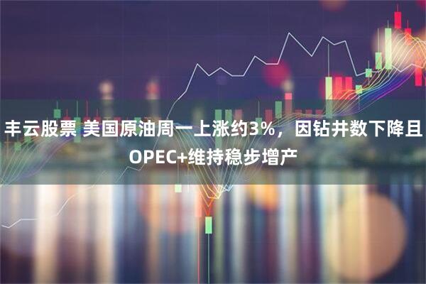 丰云股票 美国原油周一上涨约3%，因钻井数下降且OPEC+维持稳步增产
