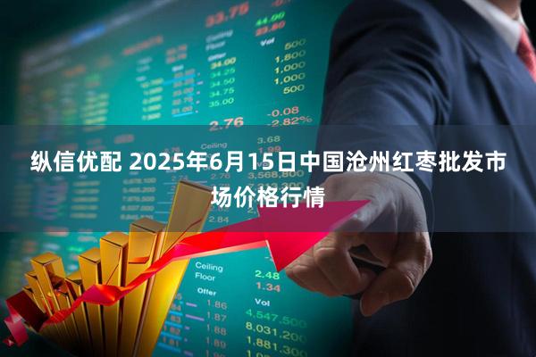 纵信优配 2025年6月15日中国沧州红枣批发市场价格行情