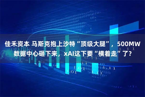 佳禾资本 马斯克抱上沙特“顶级大腿”，500MW数据中心砸下来，xAI这下要“横着走”了？