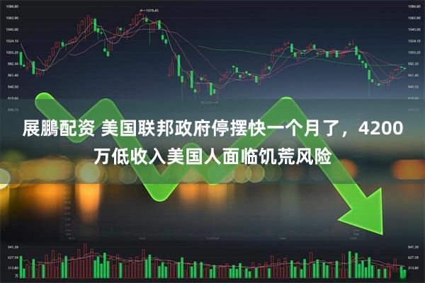 展鵬配资 美国联邦政府停摆快一个月了，4200万低收入美国人面临饥荒风险