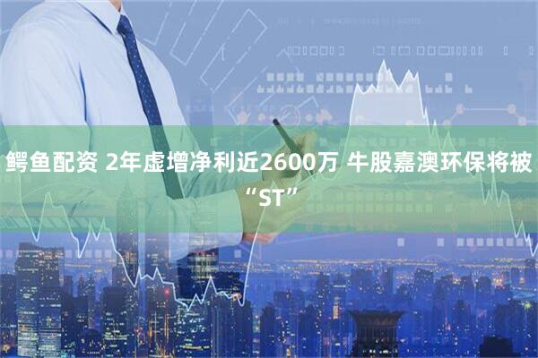 鳄鱼配资 2年虚增净利近2600万 牛股嘉澳环保将被“ST”