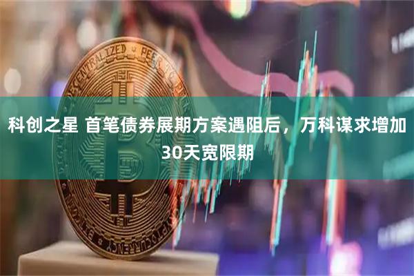 科创之星 首笔债券展期方案遇阻后,万科谋求增加30天宽限期