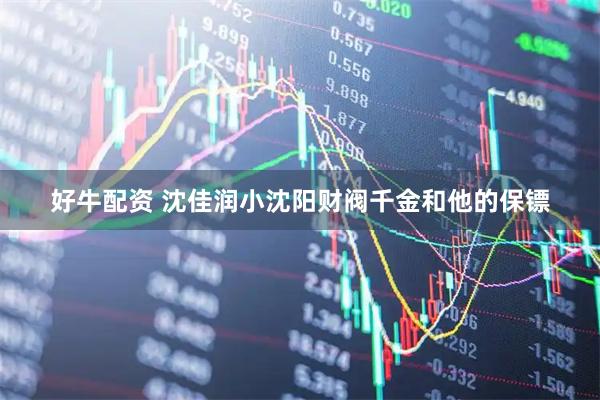 好牛配资 沈佳润小沈阳财阀千金和他的保镖